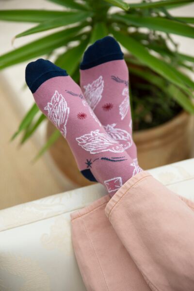 Women's 4 Pair Harry Potter Hogwarts Cotton Socks