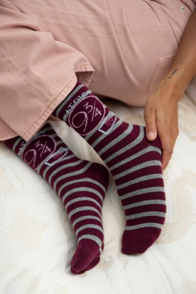 Women's 4 Pair Harry Potter Hogwarts Cotton Socks